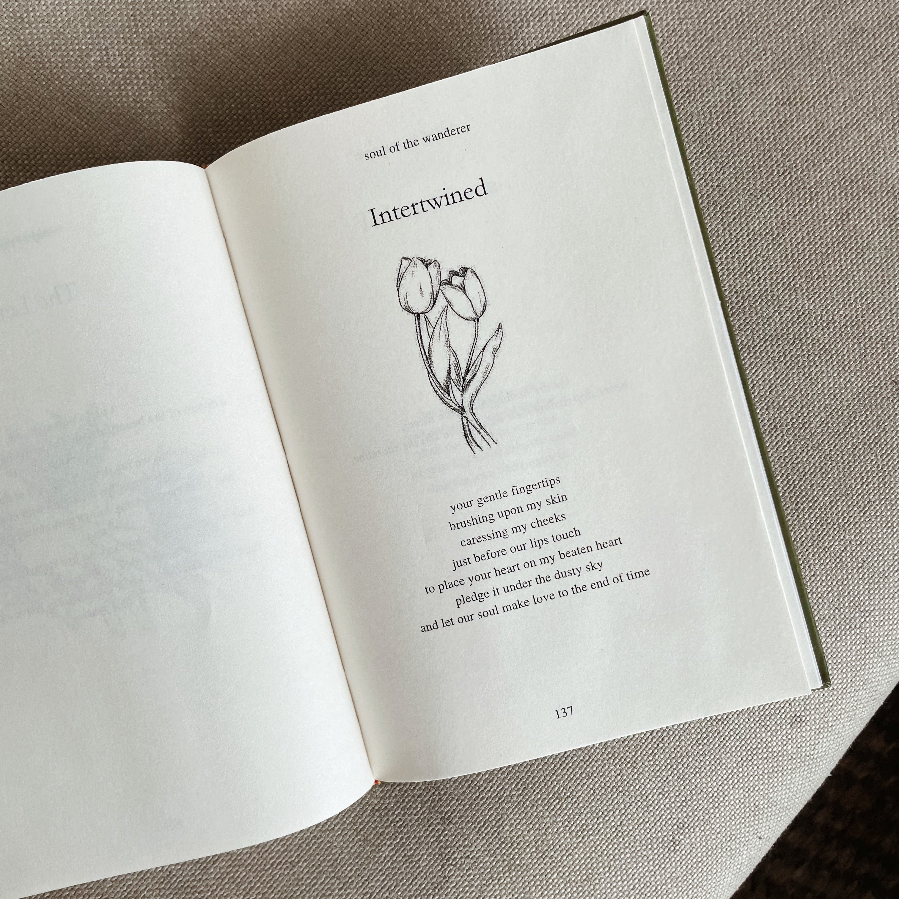 The Winter Garden Poetry Book